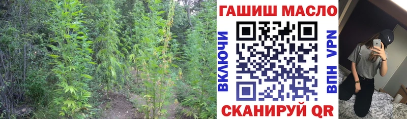 что такое   Невельск  Дистиллят ТГК жижа 