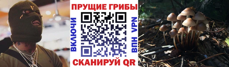 Псилоцибиновые грибы мухоморы  OMG ТОР  darknet клад  Невельск 